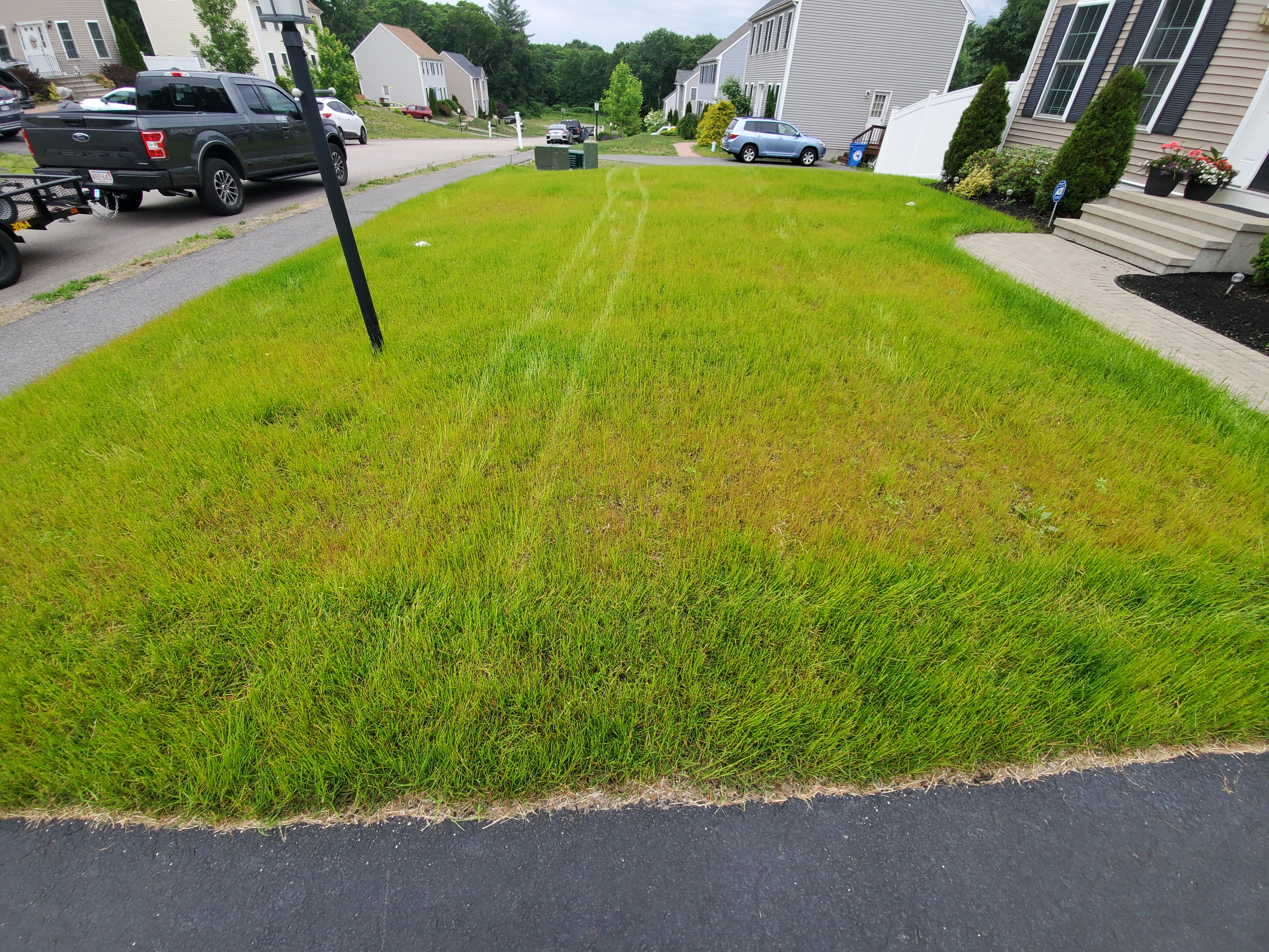 Lawn prior to treatment — nutrient-deficient turf with thin growth and pale color