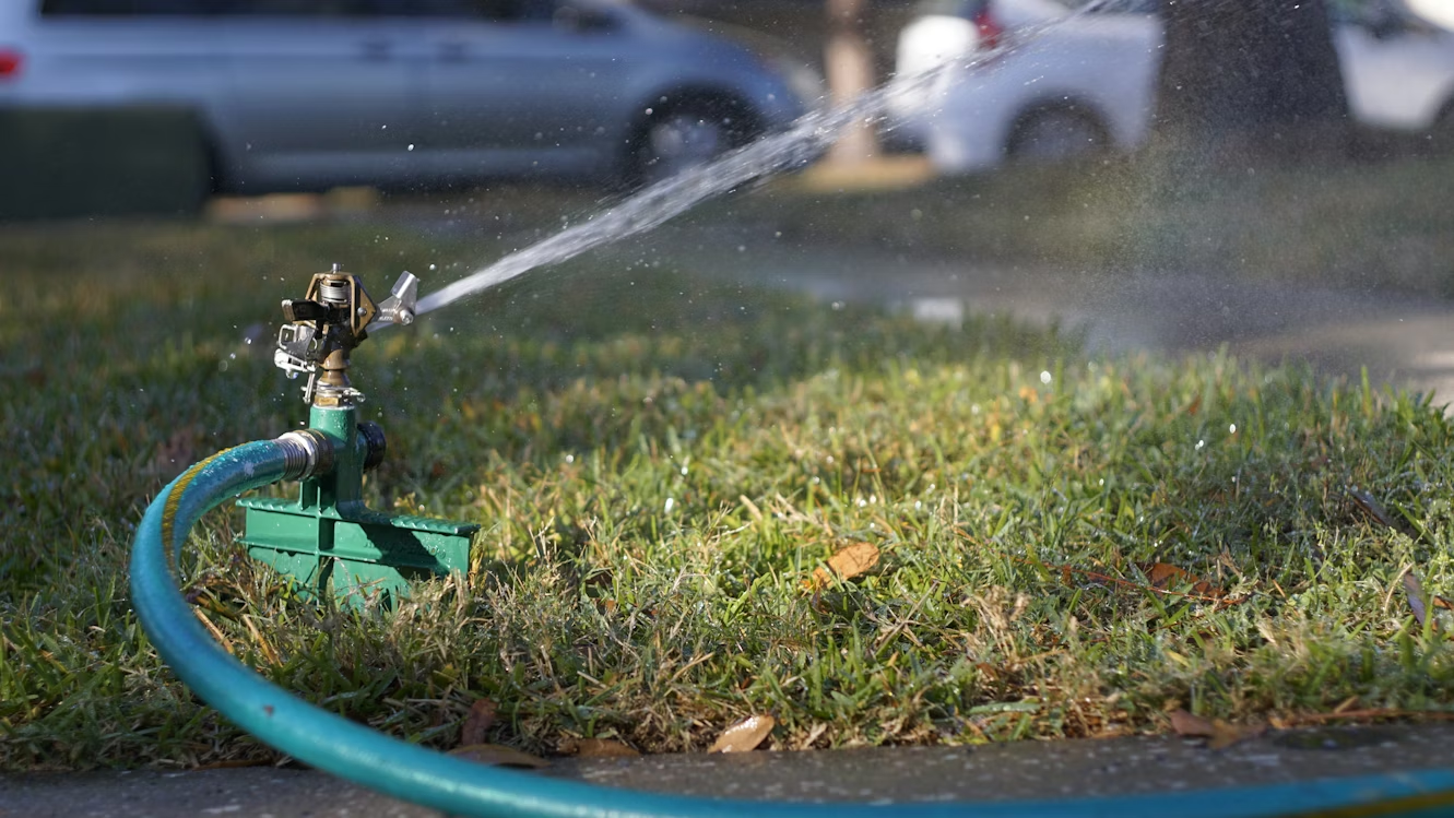 Lawn sprinkler watering grass on a sunny day
