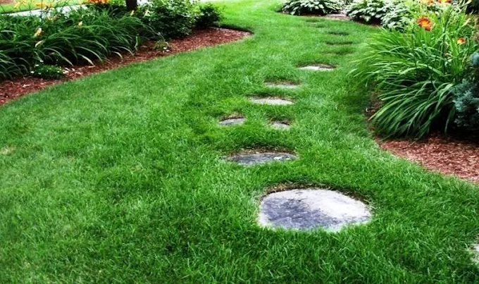 Beautiful lawn with stepping stones and mulch beds